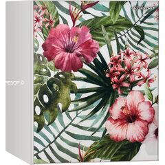 Сейф Diplomat HANA FLHIW